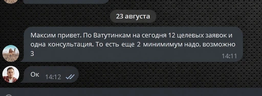 Переписка с клиентом про 12 целевых заявок за месяц по проекту Ватутинки